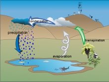 Martin's_water_cycle_diagram Martin's_water_cycle_diagram