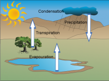 The water Cycle The water Cycle