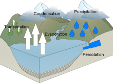 The water cycle, by Ned.