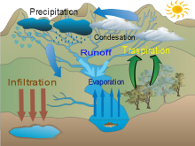 The Water Cycle of a Fresh Water Environment The Water Cycle of a Fresh Water Environment