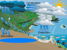 Water cycle by Emi Callaway