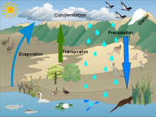 Jessica Hill Water Cycle Jessica Hill Water Cycle