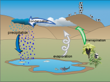 AAMartin's_water_cycle_diagram AAMartin's_water_cycle_diagram