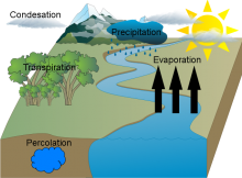 Jenny Nguyen Water Cycle Final Jenny Nguyen Water Cycle Final